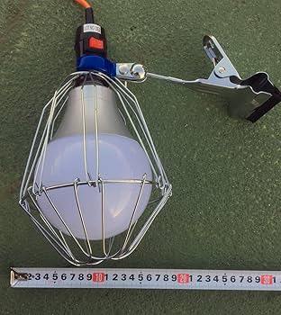 Amazon.co.jp: WING ACE LED電球付 屋内用クリップランプ ビッグ